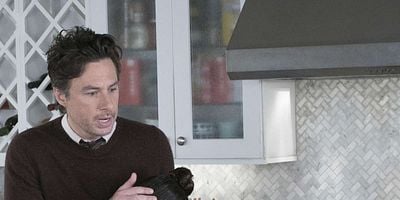 Pôster de The Fever