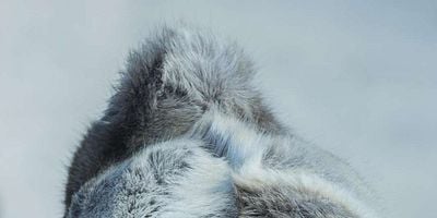 Pôster de Horrible from Supper