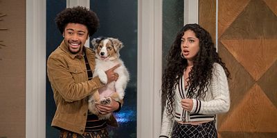 Pôster de You Got The Chills