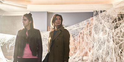 Pôster de Arachnids in the UK