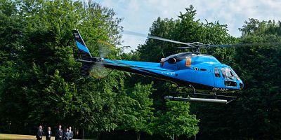 Pôster de Cow on the Ice