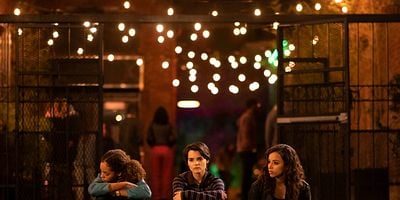 Pôster de Paper Tigers