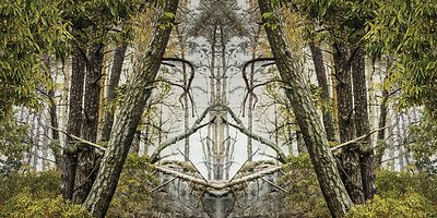 Pôster de Geheimnisse