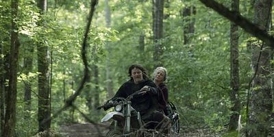 Pôster de Lines We Cross