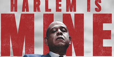 Pôster de I Am The Greatest