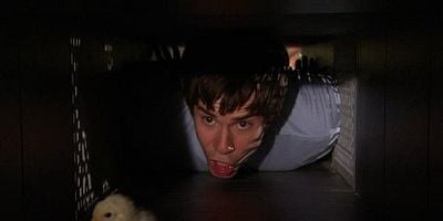 Pôster de iHatch Chicks