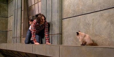 Pôster de iWon't Cancel the Show