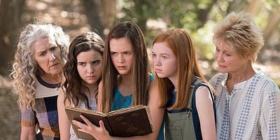 Pôster de Just Add Rose