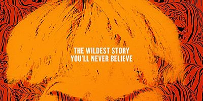 Pôster de Não é um cara qualquer