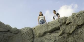 Pôster de Stranger Flings