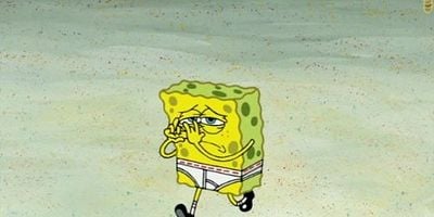 Pôster de The Pink Purloiner/Squid Wood