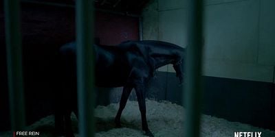 Pôster de Acampamento dos pôneis