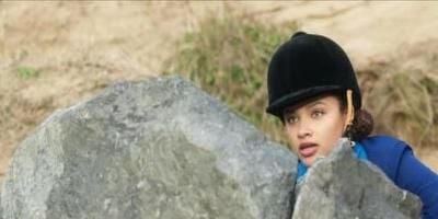 Pôster de Dia do show