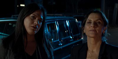 Pôster de Lobos contra leonas