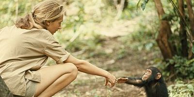 Pôster de Like Father, Like Daughter