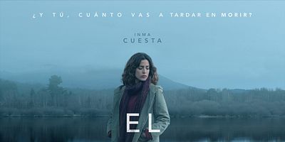 Pôster de Caída en picado