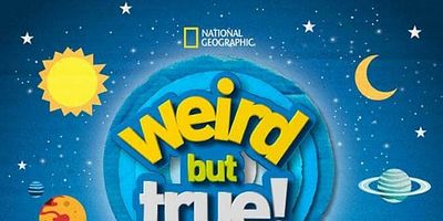 Pôster de Paper Craftalanches & Recycling!