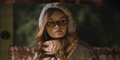 Pôster de Regal Jumping Spider