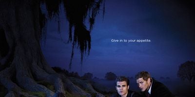 Pôster de The Birthday