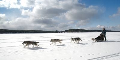 Pôster de Episode 1