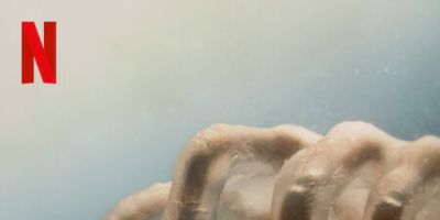 Pôster de Episódio 7