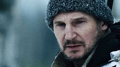 Imagem da notícia Liam Neeson disse não a Steven Spielberg em um de seus melhores filmes e deu Oscar de bandeja ao substituto