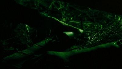 Imagem da notícia "Um trabalho dos sonhos que se transformou em um pesadelo": Após onda de demissões, franquia de terror aclamada perde figura essencial