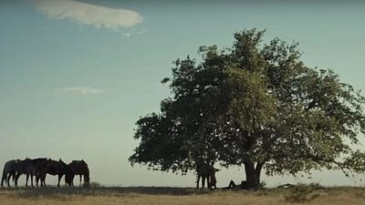 Imagem da notícia Termina a que provavelmente é a melhor série de faroeste em exibição: 5,3 milhões de espectadores ao vivo na TV