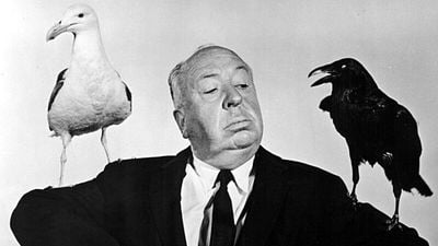 Imagem da notícia Pedro Almodóvar sobre Alfred Hitchcock: "É o maior autor cinematográfico de todos os tempos"
