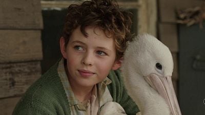 Imagem da notícia Sessão da Tarde hoje (14/05): Filme Amigos Para Sempre emociona até os mais durões e tem conexão inesperada com Procurando Nemo