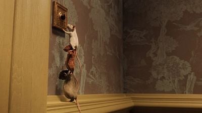 Imagem da notícia Para ver hoje à noite: Uma aventura de fantasia assustadora... para crianças (já o original perturbou uma geração inteira)