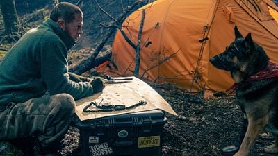 Imagem da notícia "Treinamos todos os dias sem parar": Brad Pitt precisou se tornar um adestrador de cães para estrelar Coração Selvagem