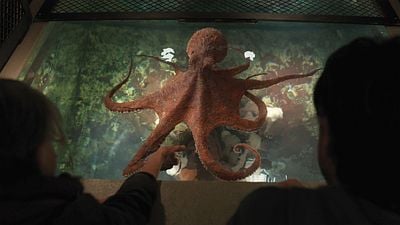 Imagem da notícia Separe os lencinhos! Este best-seller vendeu 4 milhões de livros e agora se tornou um dos filmes mais comoventes da Netflix