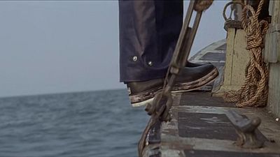 Imagem da notícia No streaming: Há quase 50 anos, os primeiros minutos deste filme impediram que milhares de espectadores nadassem em paz