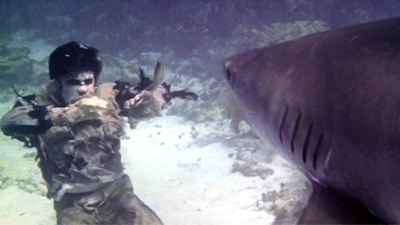 De acordo com Quentin Tarantino, este filme de terror com tubarões e zumbis é imperdível - ele até o mostrou para Brad Pitt