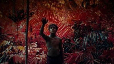 Imagem da notícia Criador de Adolescência, da Netflix, apresenta o trailer eletrizante de sua nova minissérie, baseada em um dos melhores livros de todos os tempos