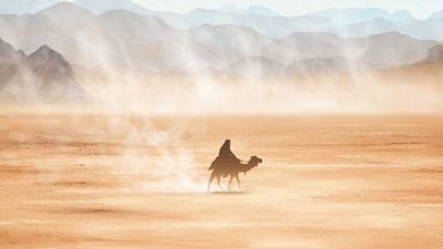 Imagem da notícia Um dos melhores filmes de aventura da história: A obra-prima épica que inspirou Indiana Jones e Avatar