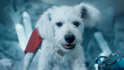 Imagem da notícia Supergirl: Cachorro Krypto tem superpoderes?