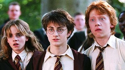 Imagem da notícia “Não é legal, dói muito”: Esta parte de Harry Potter era um pesadelo para Daniel Radcliffe (mas os fãs amam)