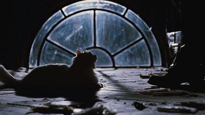 Imagem da notícia Acidentes no set e morte de ator: Este filme amaldiçoado ganhará remake 30 anos depois