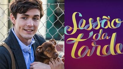 Imagem da notícia Sessão da Tarde hoje (02/01) na Globo: A Caminho de Casa é um filme encantador estrelado por uma cachorrinha resgatada de um lixão!