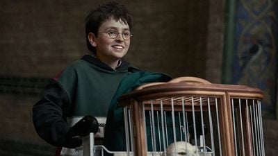 Imagem da notícia Quem são os professores na série de Harry Potter? Veja os novos Snape, Dumbledore e mais