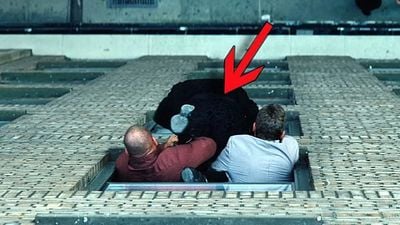 Imagem da notícia Cientificamente comprovado: Este é o ator mais odiado de todos os tempos!