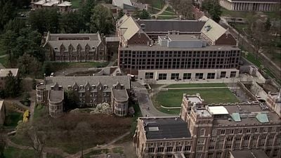 Imagem da notícia É uma das melhores séries do século XXI e acaba de chegar na íntegra à Netflix: Hugh Laurie faz diagnósticos com uma bengala neste drama imperdível