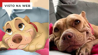 Imagem da notícia Artista transforma animais da vida real em fofos desenhos da Disney
