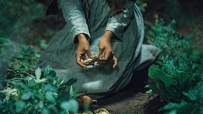 Imagem da notícia Esta aclamada minissérie de 10 episódios é do mesmo diretor de Mufasa e você pode assistir no Prime Video