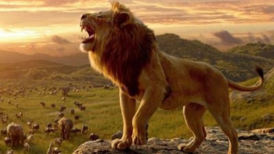 O Rei Leão 2: Lançamento, informações, elenco... Tudo o que você precisa saber sobre o novo live-action da Disney
