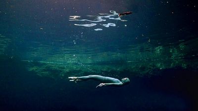 Imagem da notícia Já viu? Inspirado em fatos reais, este filme é um dos melhores lançamentos da Netflix de 2023