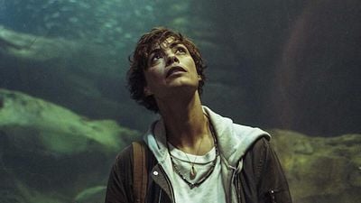 Imagem da notícia O primeiro filme foi visto 102 milhões de vezes na Netflix: Agora, a sequência já está em produção e promete ainda mais tubarões