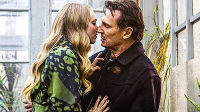 Imagem da notícia No streaming: Este thriller erótico com Liam Neeson mostra o lado mais sombrio do desejo e do ciúme